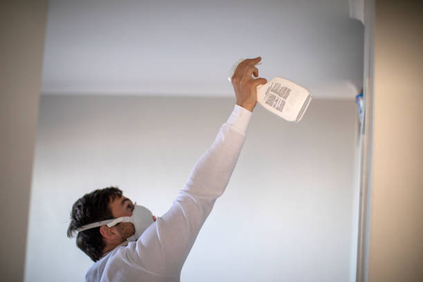 Best Black Mold Removal  in Exander City, AL