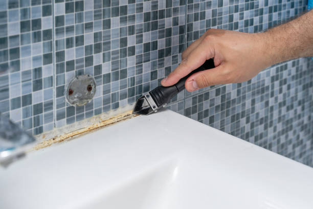 Alexander City, AL Mold Removal Company