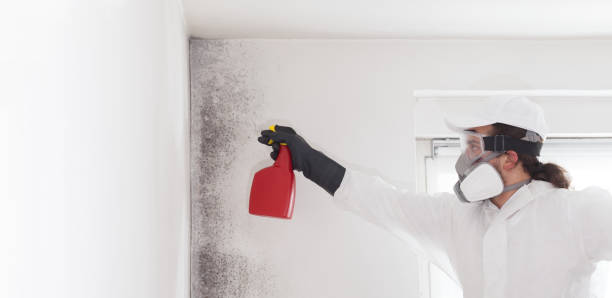 Best Crawl Space Mold Removal  in Exander City, AL